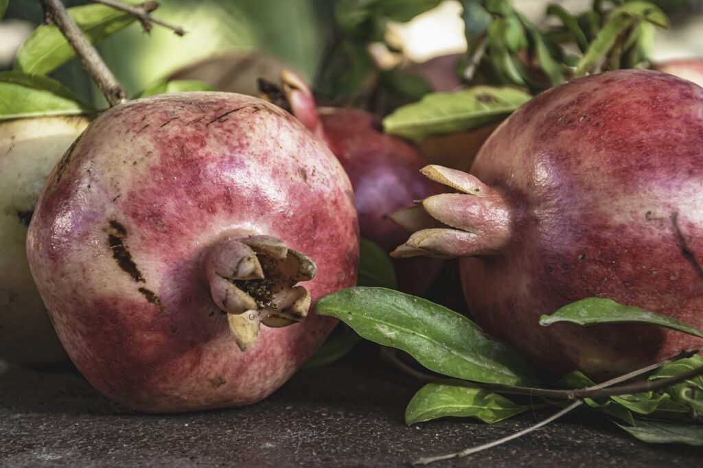 conversation, pomegranates, three