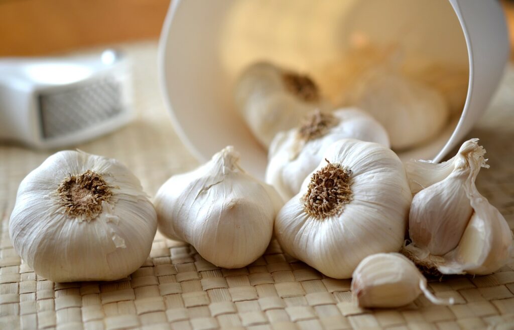 Immunity boosting food garlic
