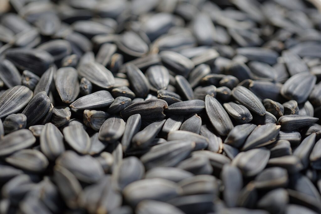 21 Amazing Superfoods sunflower seeds